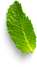 Isolated Cutout PNG