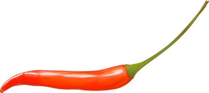 Realistic Chili Pepper